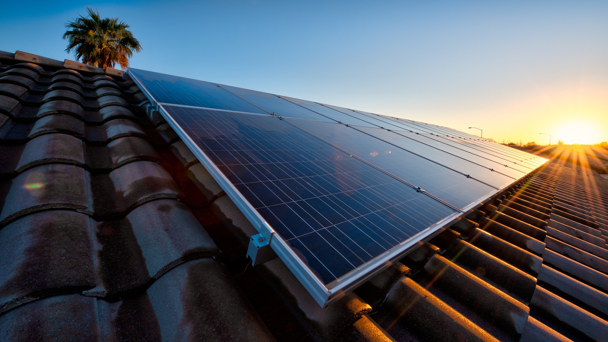 Solar panels before cleaning on Gold Coast roof